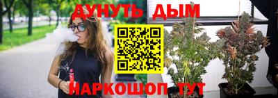 спайс Гай